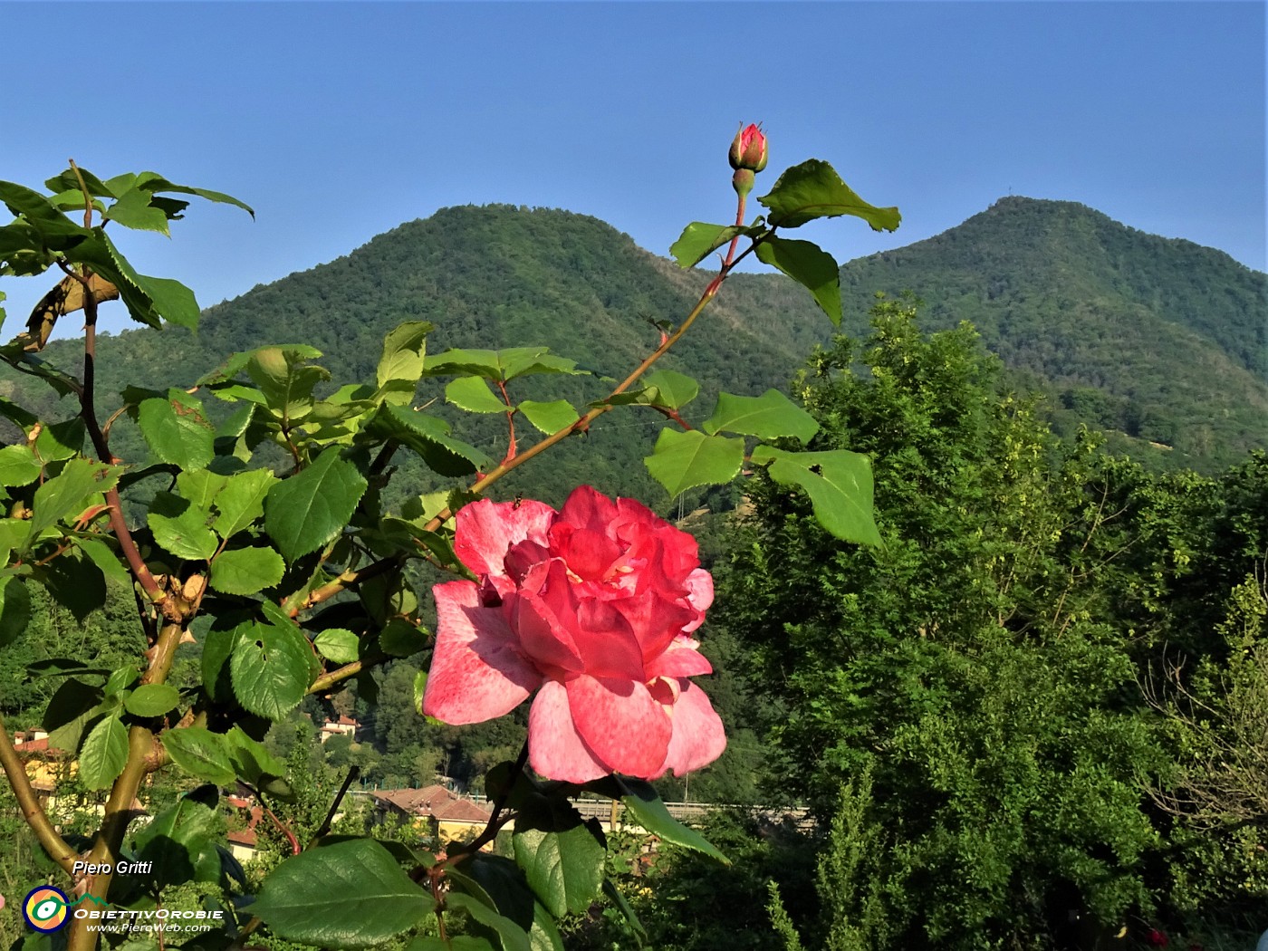 09 Da Botta alta di Sedrina bella vista verso il Monte Ubione .JPG